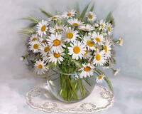 Без бренда «2KMA-0021» в Туле