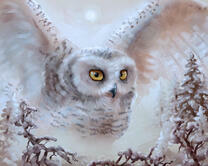 Без бренда «Полярная сова над лесом» в Туле