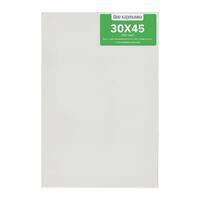 Без бренда «Коробка 40 шт.: Холст Две картинки на подрамнике 30X45» в Туле в интернет-магазине Без бренда «Коробка 40 шт.: Холст Две картинки на подрамнике 30X45» в Туле