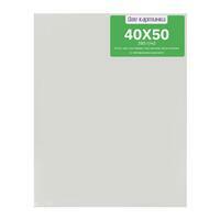 Без бренда «40 холстов! Коробка 20 шт.: 20 наборов по 2 шт. холст Две картинки на подрамнике 40X50 (всего 40 холстов)» в Туле