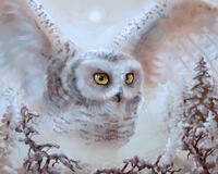 Без бренда «Полярная сова над лесом (20шт)» в Туле