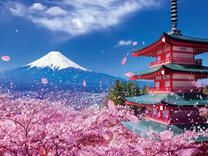 Без бренда «BOX20-2KSB-7277» в Туле