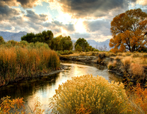 Без бренда «BOX25-GX29355» в Туле