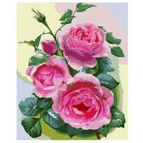 Садовые розовые розы