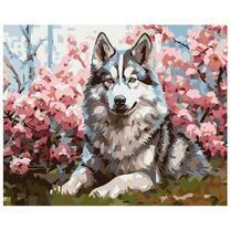 Хаски отдыхает под розовым кустом