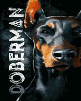 Доберман - хороший охранник