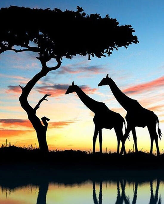 Картина по номерам 40x50 Силуэты жирафов у дерева