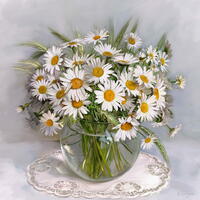 Без бренда «Букет свежих ромашек» в Туле