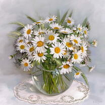 Без бренда «Букет свежих ромашек» в Туле