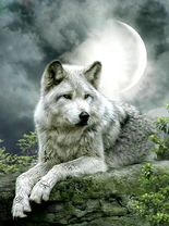 Без бренда «Коробка 25 шт. картин по номерам BOX25-GX21058» в Туле