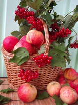 Без бренда «Коробка 25 шт. картин по номерам BOX25-GX5174» в Туле