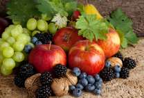 Без бренда «Фрукты, ягоды и орехи» в Туле