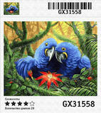 Картина по номерам 40x50 Влюбленные попугаи любуются цветком