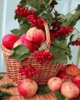 Без бренда «Плетёная корзина с калиной и яблоками» в Туле
