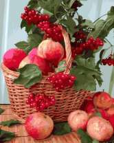 Без бренда «Плетёная корзина с калиной и яблоками» в Туле в интернет-магазине  Без бренда «Плетёная корзина с калиной и яблоками» в Туле