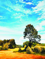 Без бренда «Осенний пейзаж с голубым небом» в Туле в интернет-магазине  Без бренда «Осенний пейзаж с голубым небом» в Туле