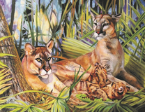 Леопарды и их потомство