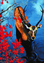 Красивый олень с черными рогами