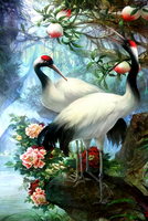 Без бренда «Коробка 25 шт. картин по номерам BOX25-GX29399» в Туле в интернет-магазине  Без бренда «Коробка 25 шт. картин по номерам BOX25-GX29399» в Туле