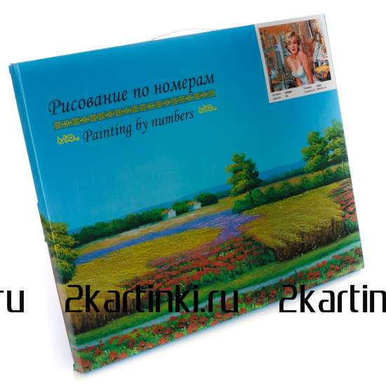 Картина по номерам 40x50 Венецианский переулок